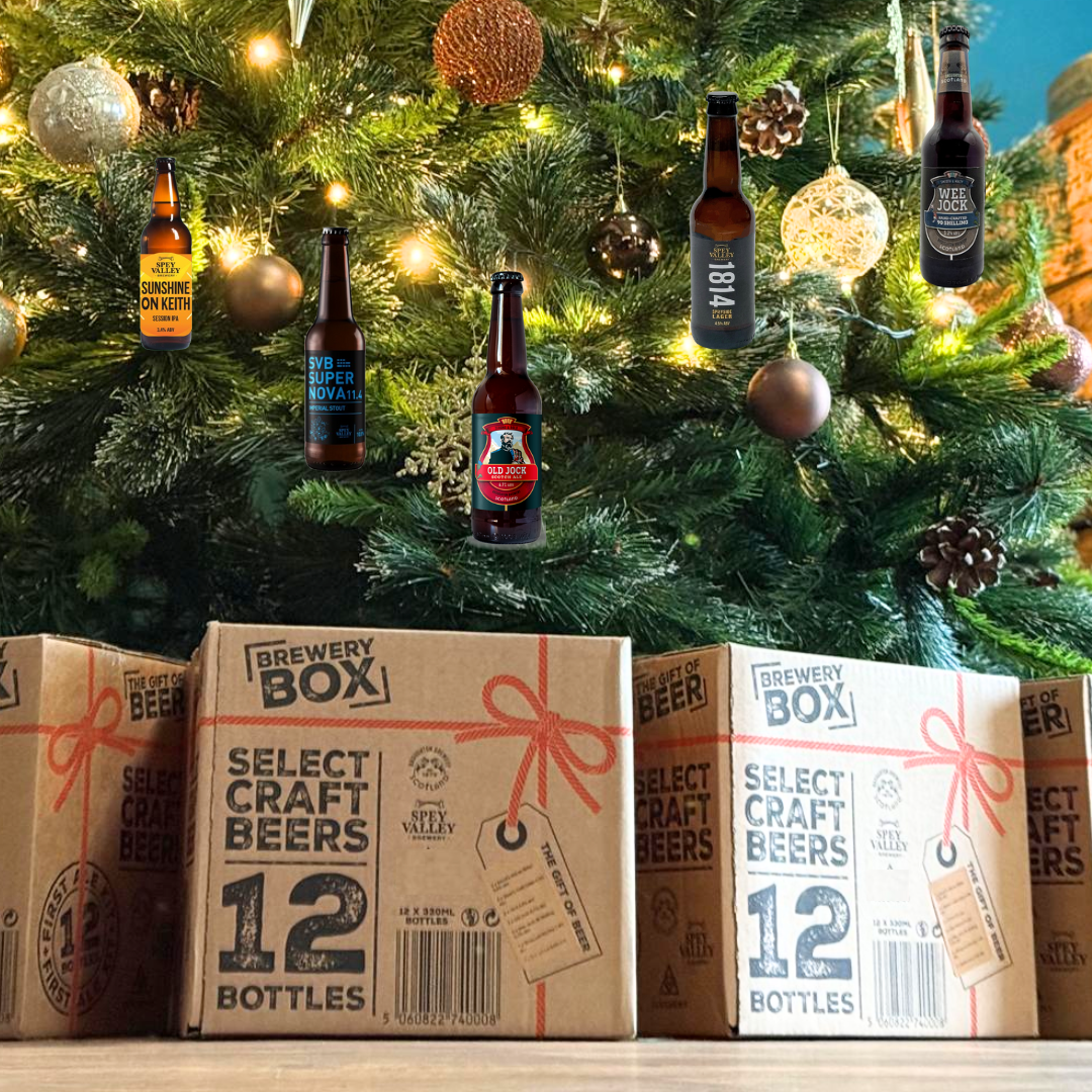 First Ale Kit Gift & Celebration Box 33cl * 12