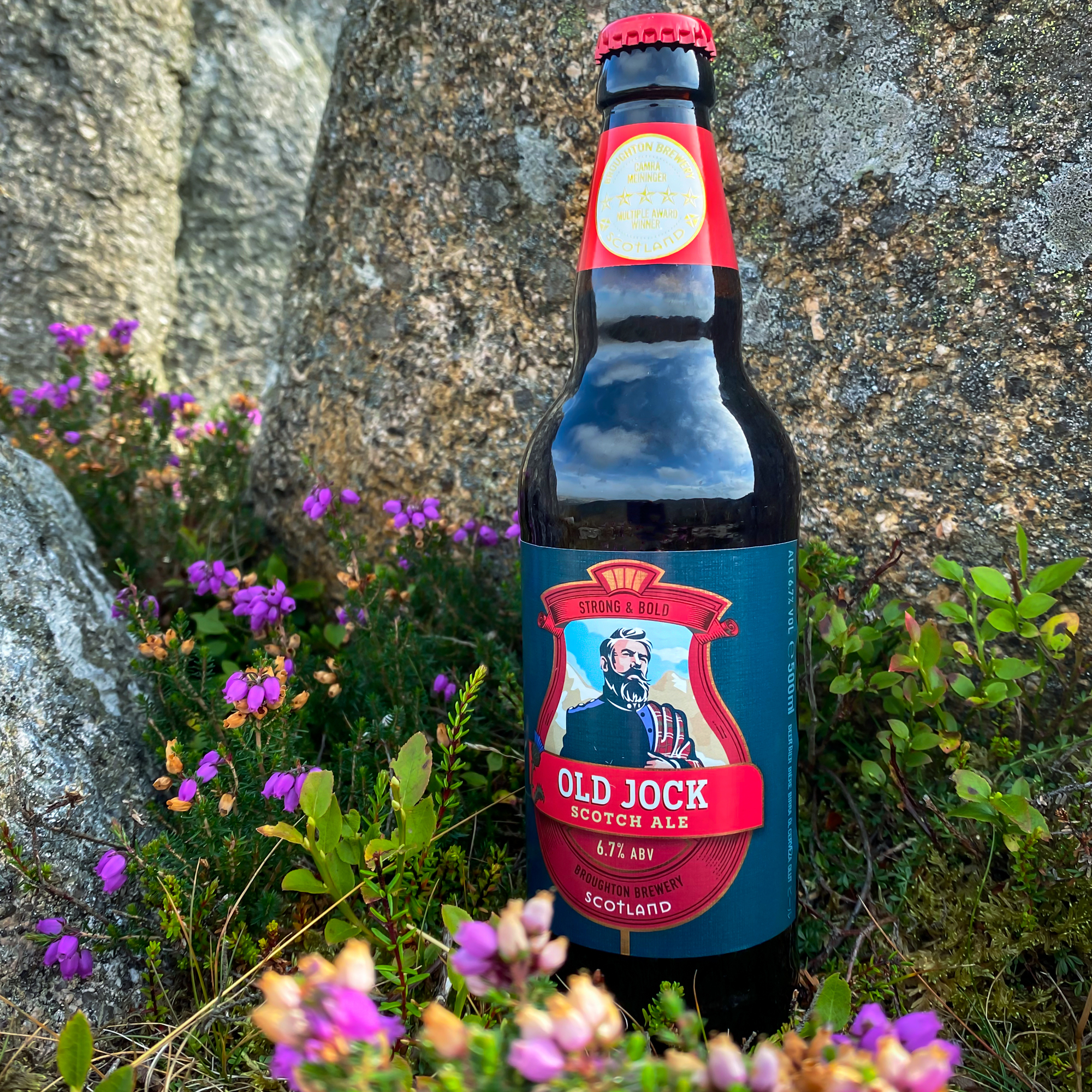 Old Jock (16 or 8 x 500ml Bottles)