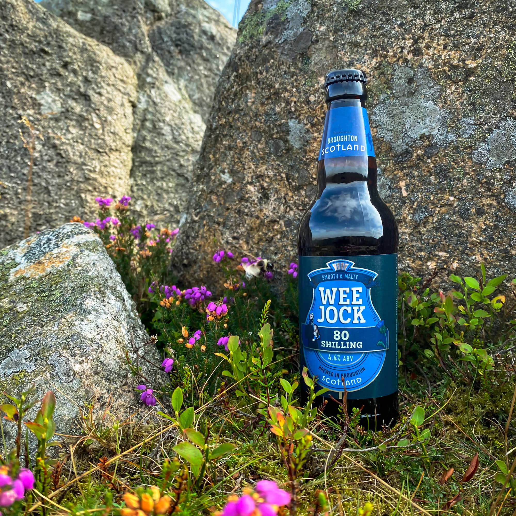 Wee Jock (16 or 8 x 500ml Bottles)