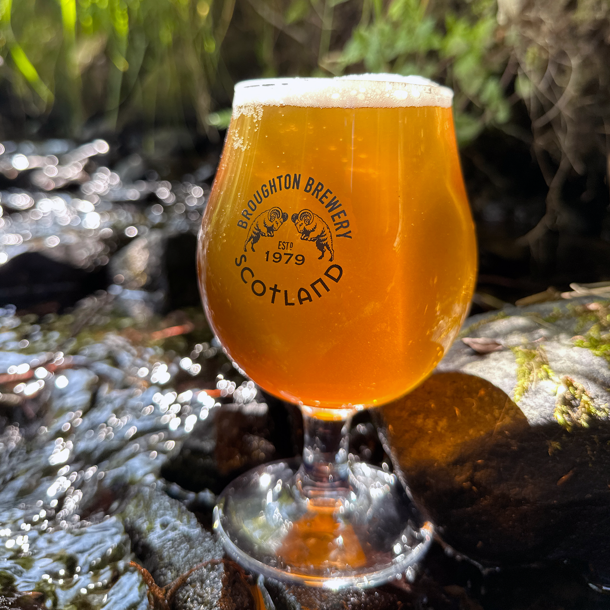 Broughton Ales Glass