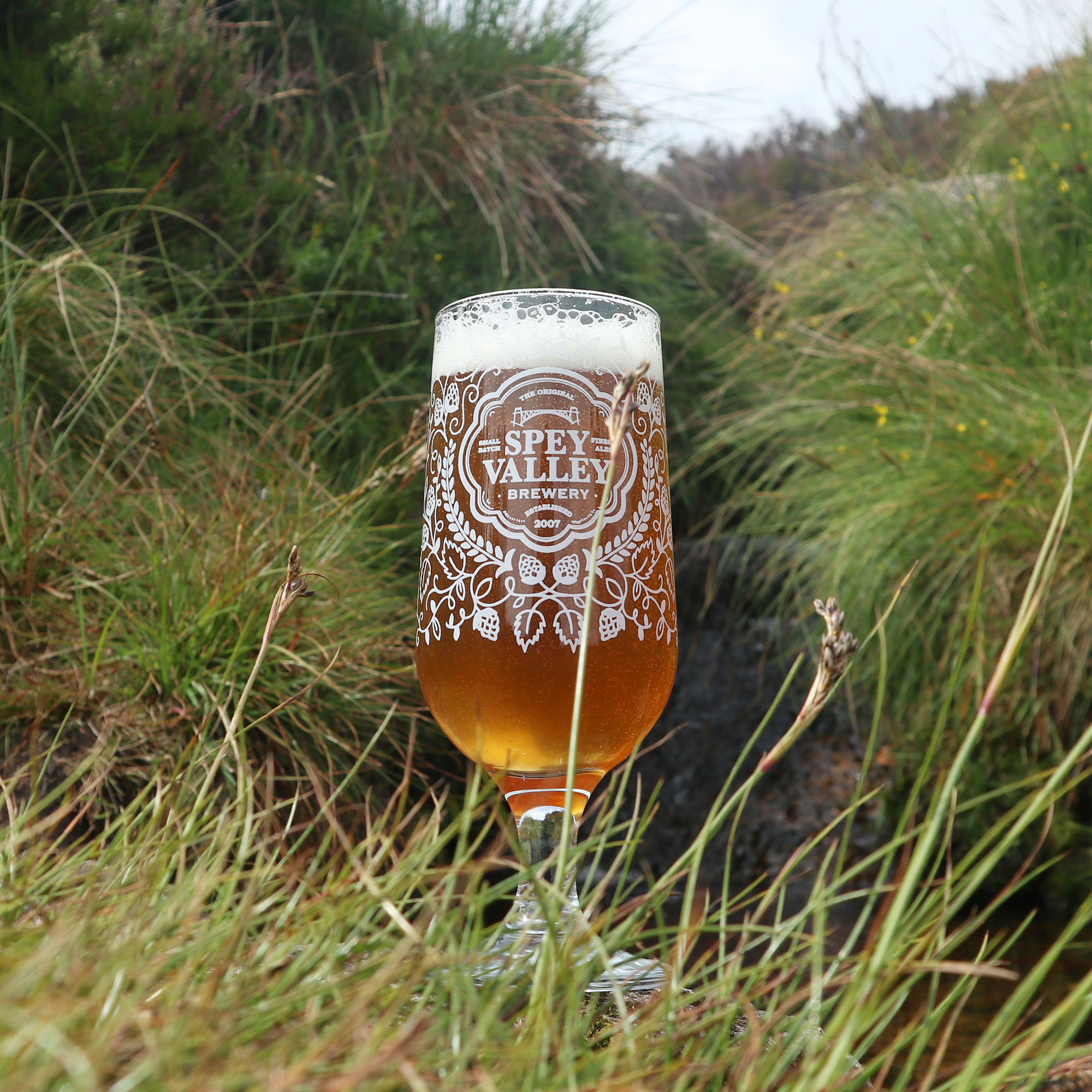 Spey Valley Half Pint Glass