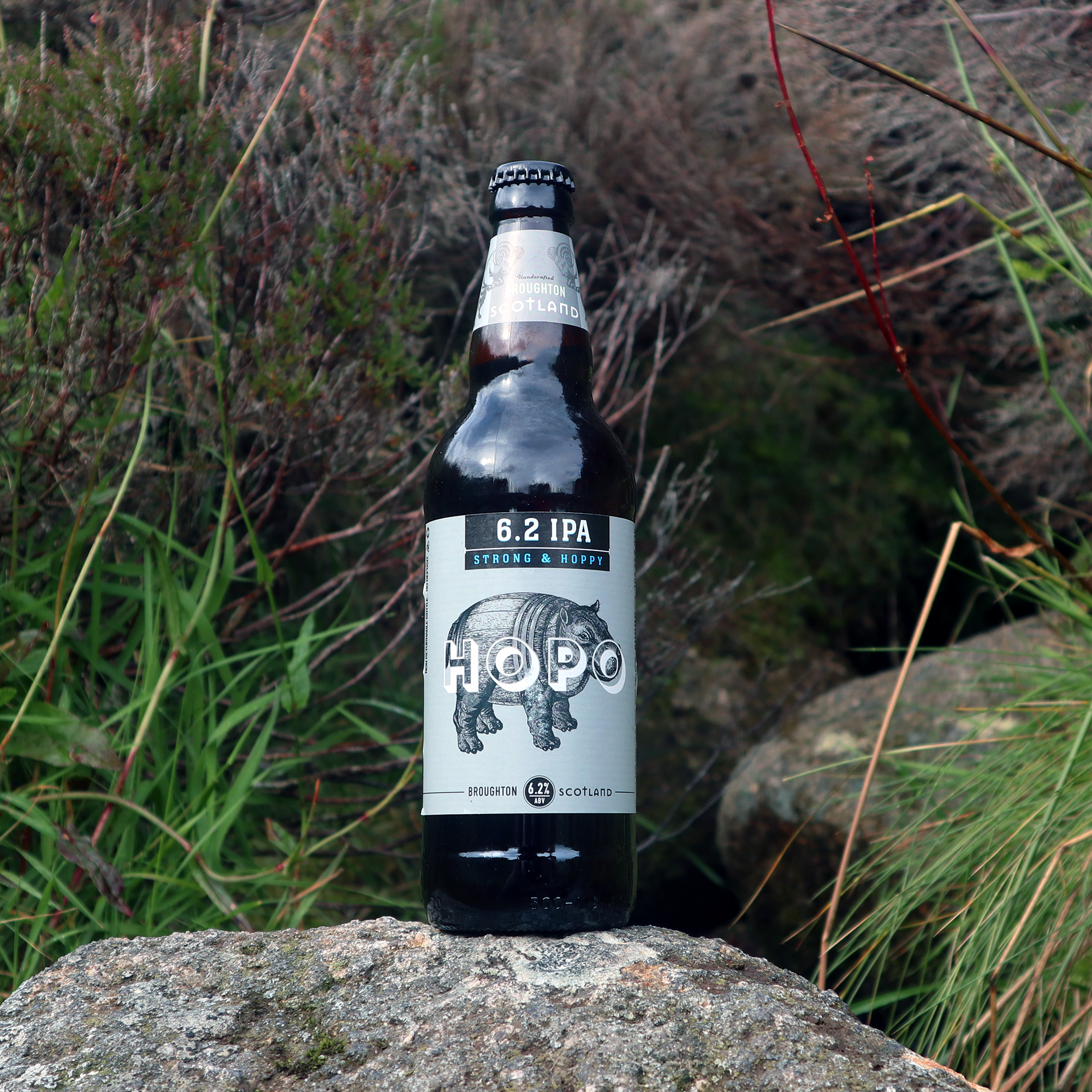 Hopo 6.2 IPA (500ml)