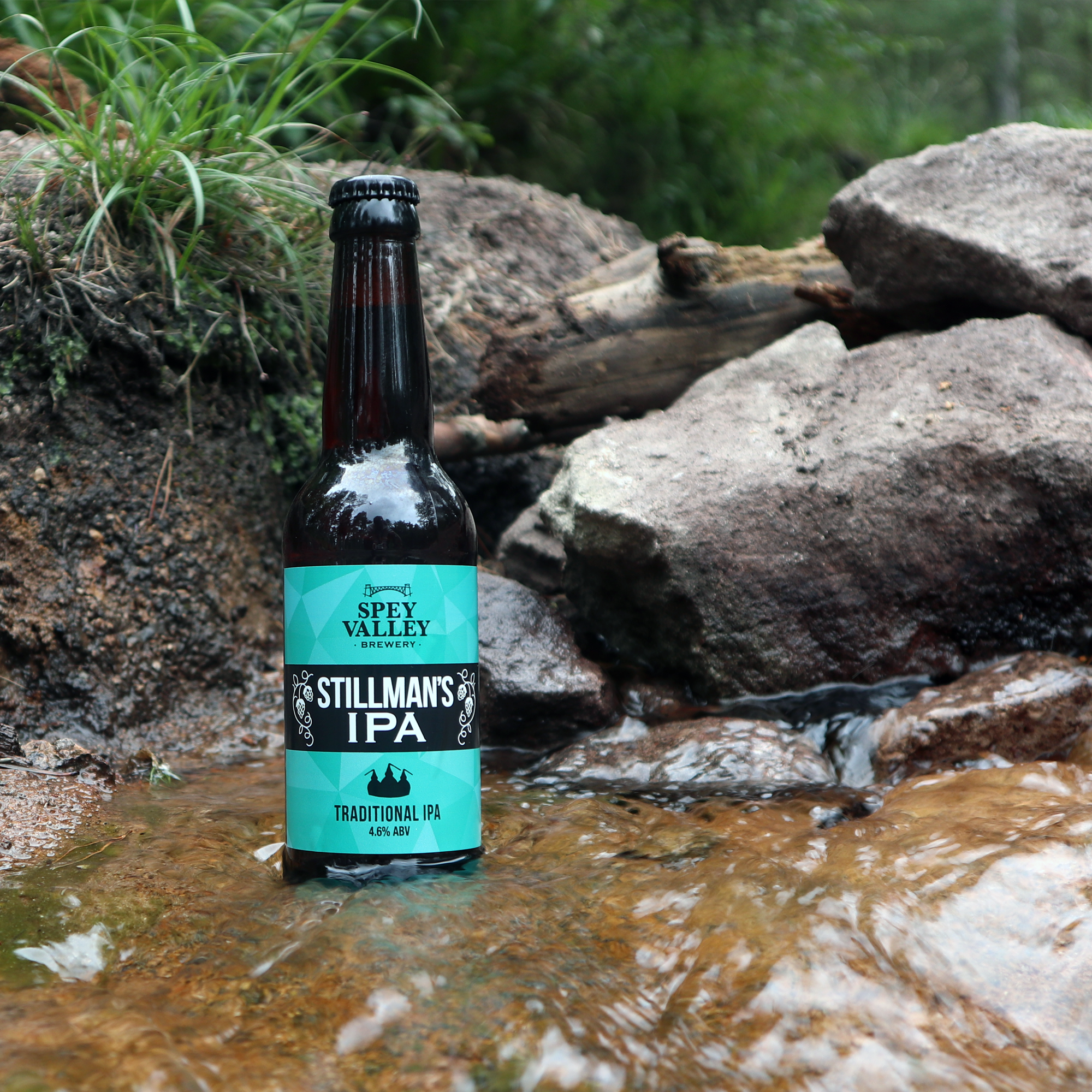 Stillman's IPA (12 x 330ml Bottles)