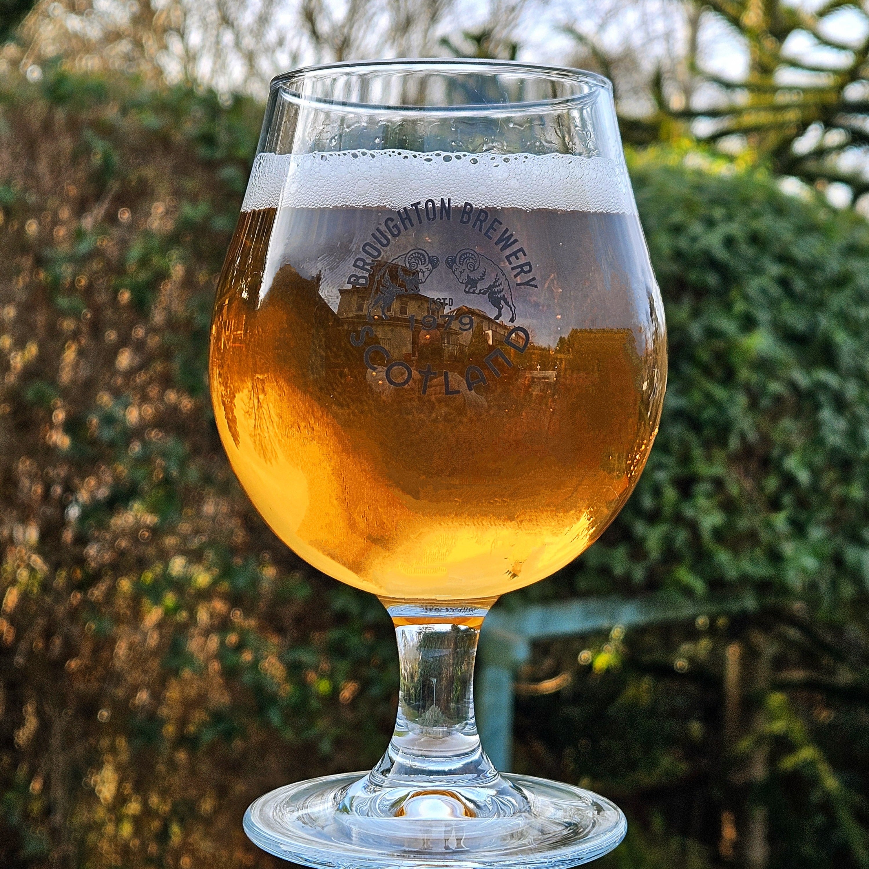Broughton Goblet Glass * 2 ( 40cl glass)
