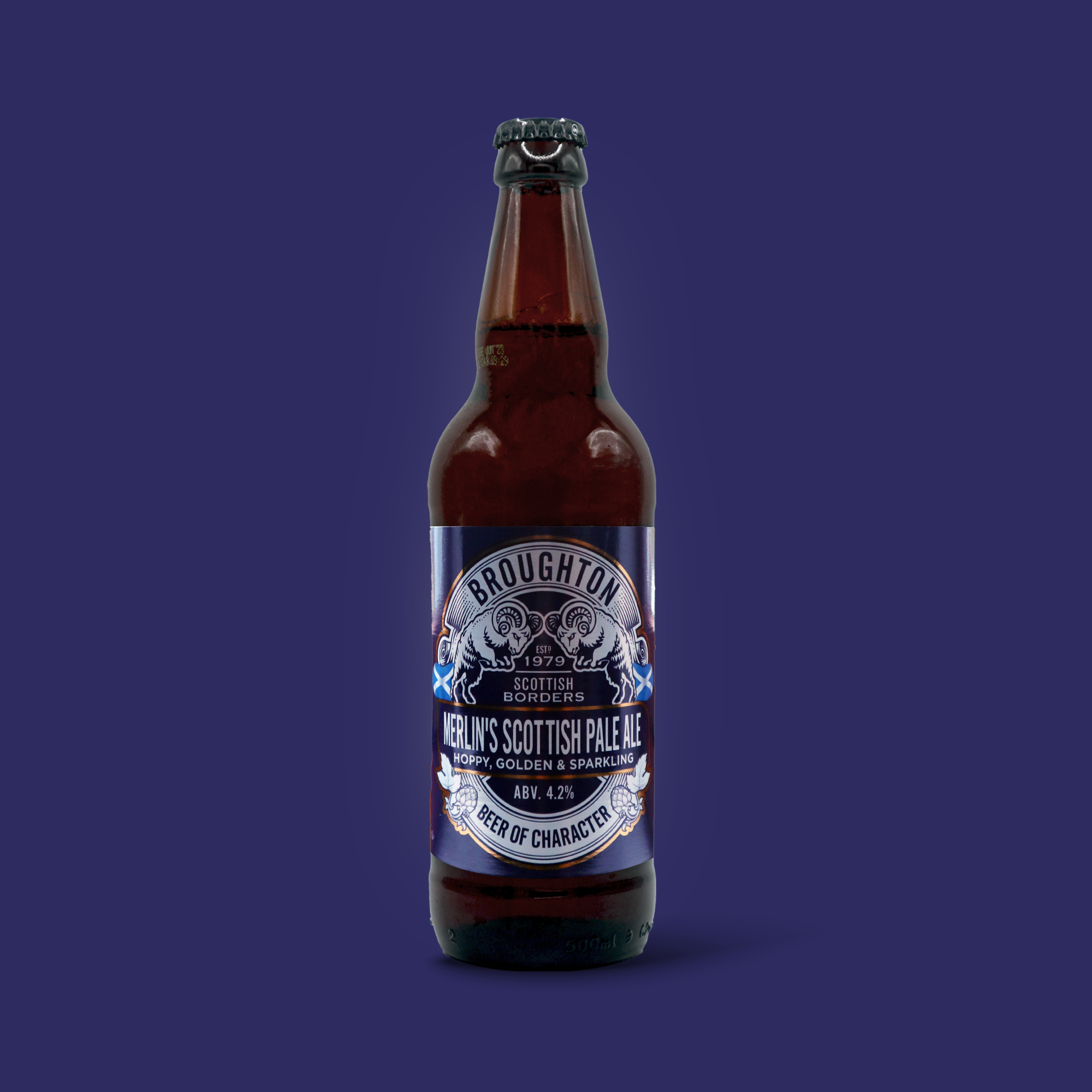 Merlin's Scottish Pale Ale (16 or 8 x 500ml Bottles)